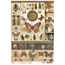 copy of 